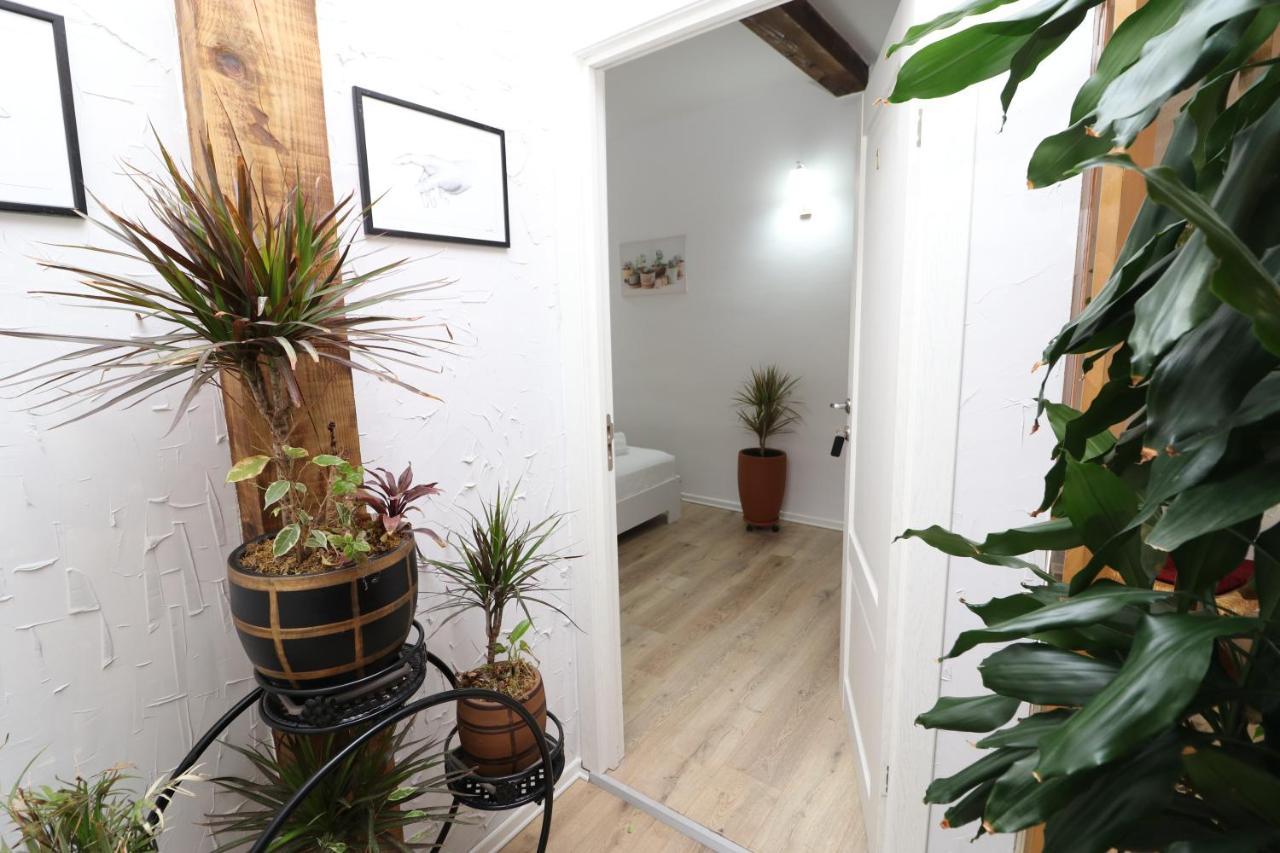 Gaia Bed & Breakfast Vlore Exterior photo